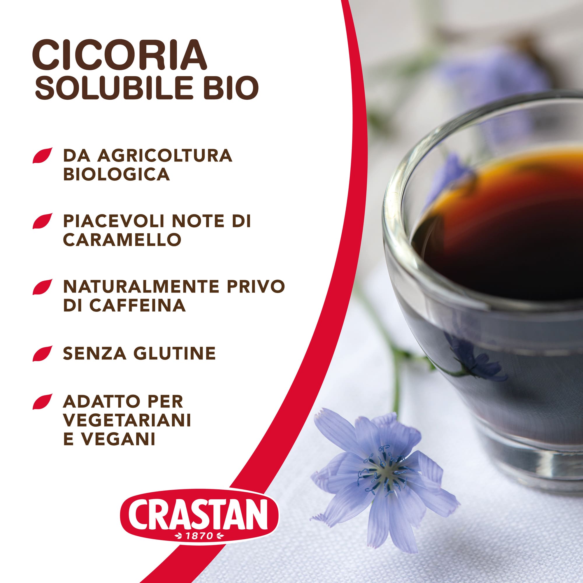 Alimenti biologici Cicoria solubile bio 100 g